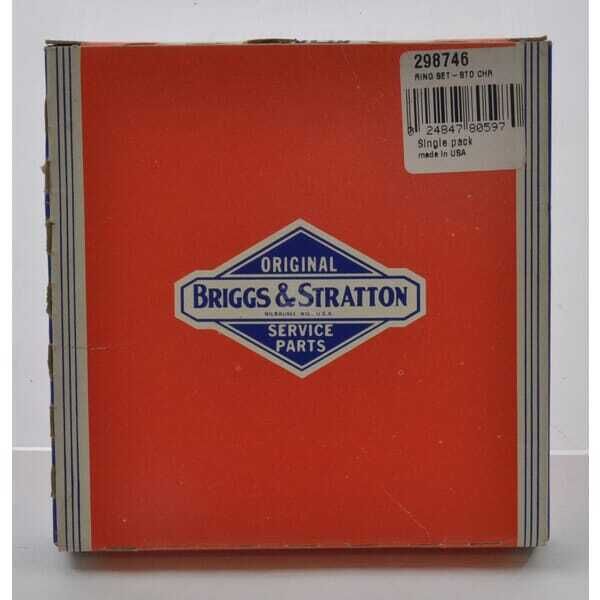 Ensemble de segments chromés - 298746 - Briggs & Stratton