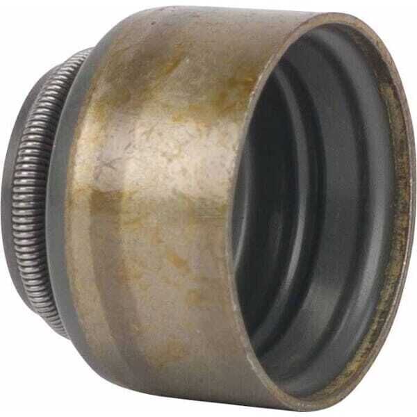 Valve d'emballage - 820405 - Briggs & Stratton