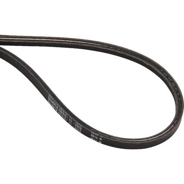 Snapper </i> - 7029101YP - Kilerem