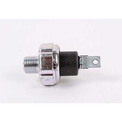 Contact d'huile - 792028 - Briggs & Stratton