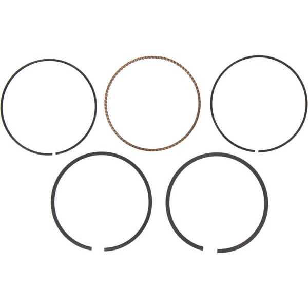 BS Segments Briggs & Stratton - 795432 - Jeu segments -020