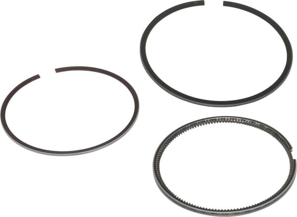 Ensemble de segments - Std - 825187 - Briggs & Stratton