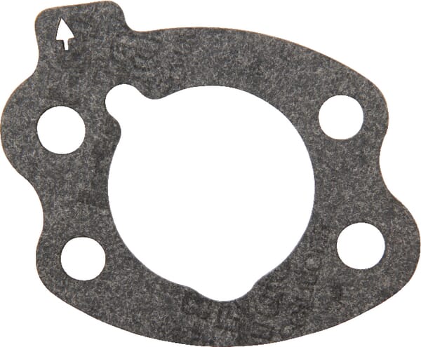 Briggs joint de filtre à air - 844931 - Briggs & Stratton